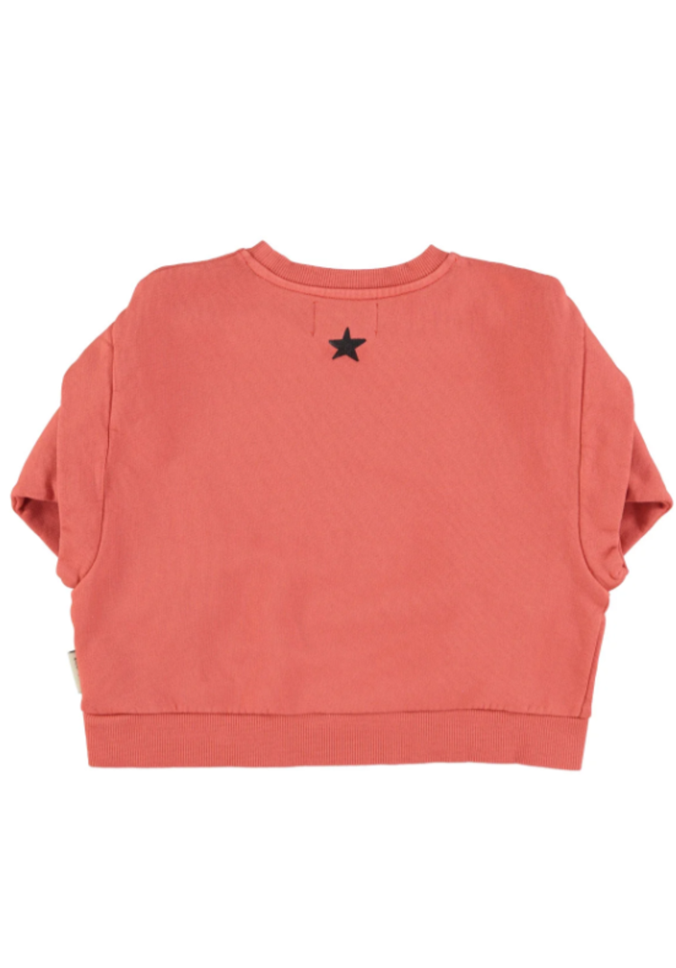 Piupiuchick Piupiuchick | Sweater Groupie pink