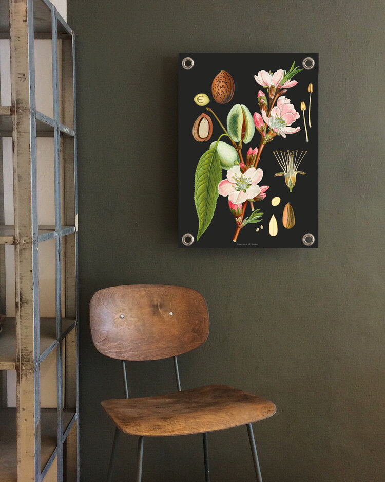 Villa Madelief VM | Tuinposter botanisch amandel