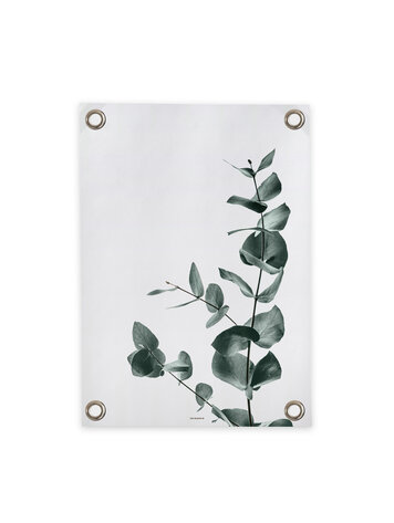 Villa Madelief VM | Tuinposter Eucalyptus