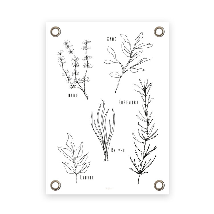 Villa Madelief VM | Tuinposter kruiden