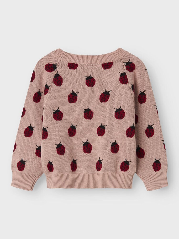 Lil Atelier Lil Atelier | Sweater Lulio lieveheerstbeestje