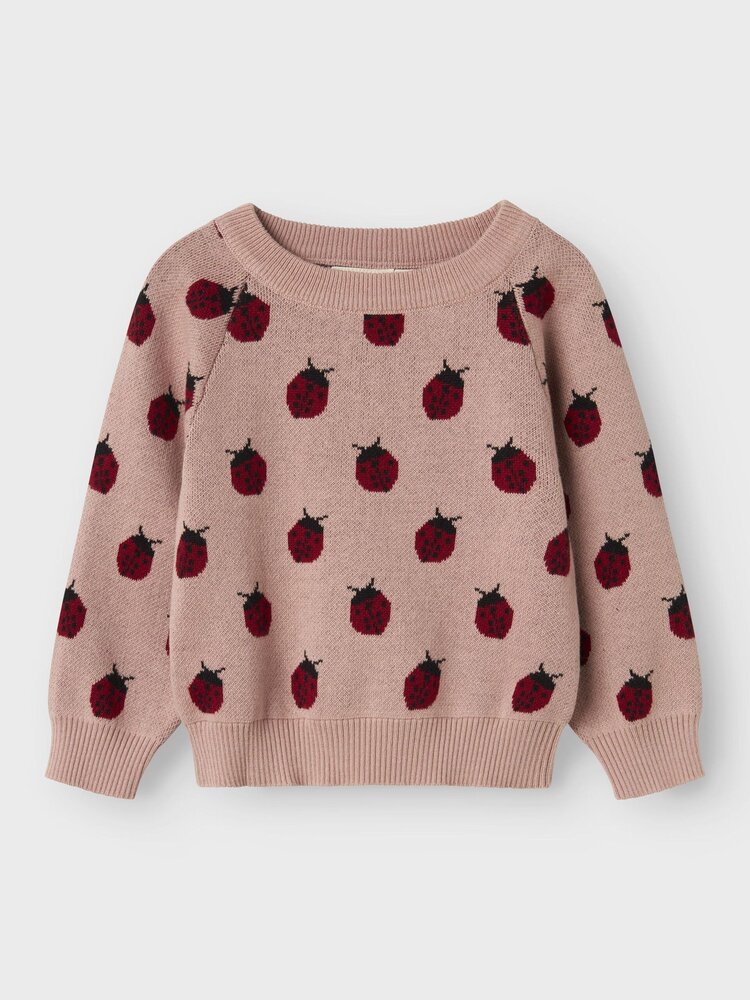 Lil Atelier Lil Atelier | Sweater Lulio lieveheerstbeestje