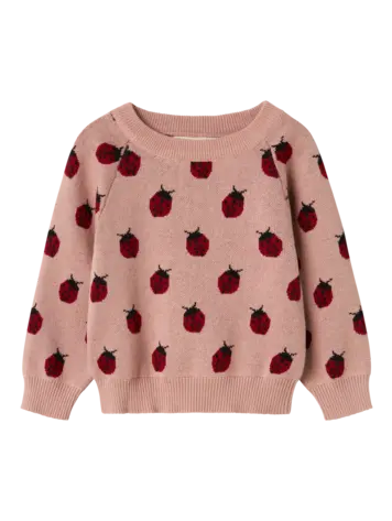 Lil Atelier Lil Atelier | Sweater Lulio lieveheerstbeestje
