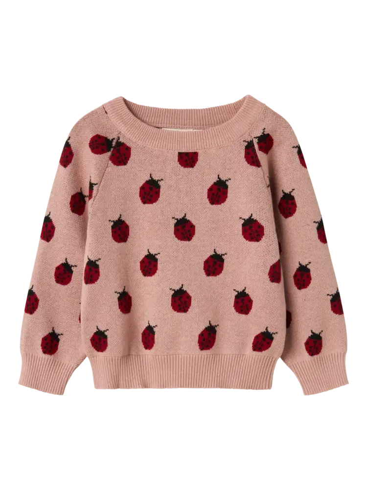 Lil Atelier Lil Atelier | Sweater Lulio lieveheerstbeestje