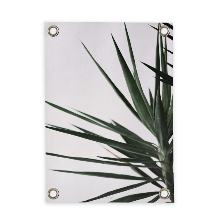 Villa Madelief VM | Tuinposter Palm