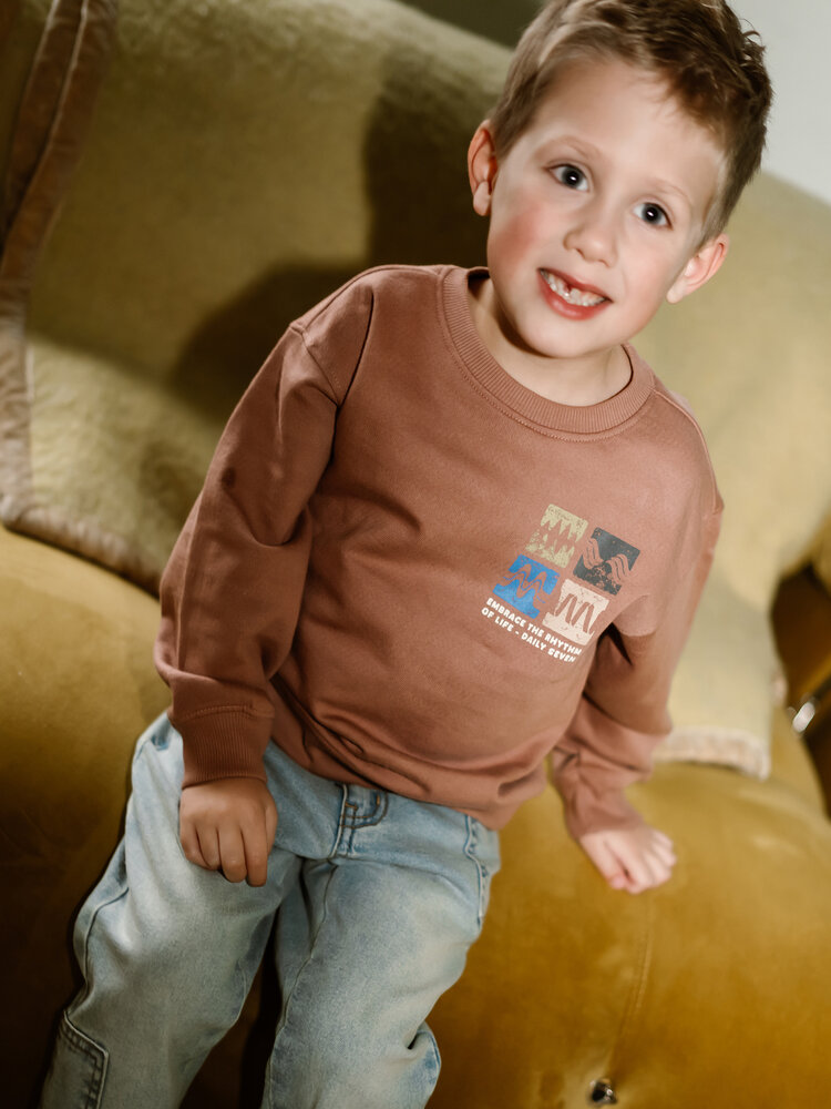 Daily7 Daily7 | Sweater Artwork burlwood