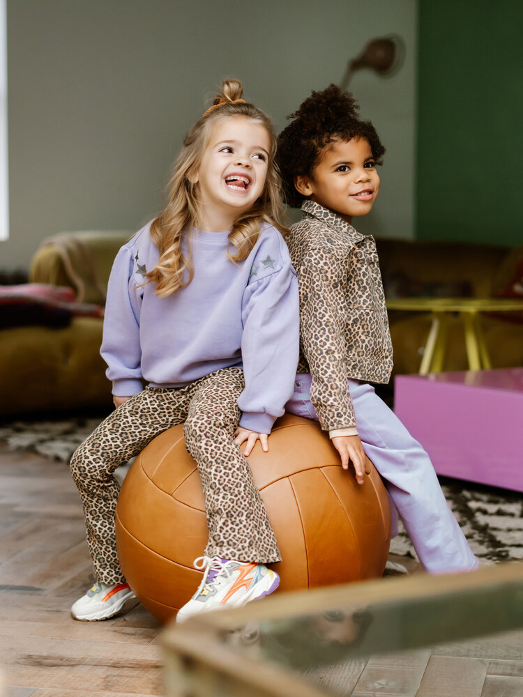 Daily7 Daily7 | Sweater Embroidery paars