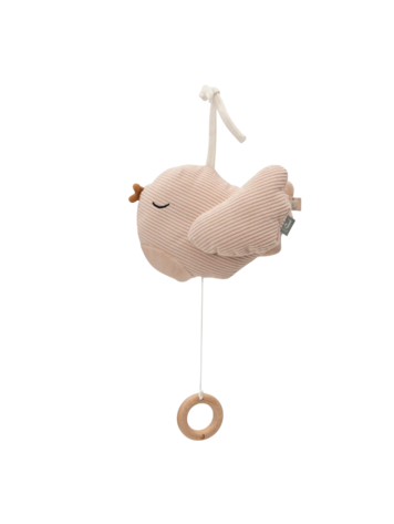 Jollein Jollein | Muziekhanger Lovely birds