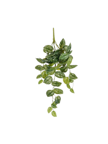 Stijl28 | Scindapsus hangend groen 65cm