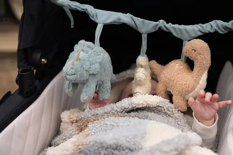 Jollein Jollein | Wagenspanner Roarsome