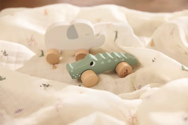 Jollein Jollein | Houten krokodil op wielen jungle jambo