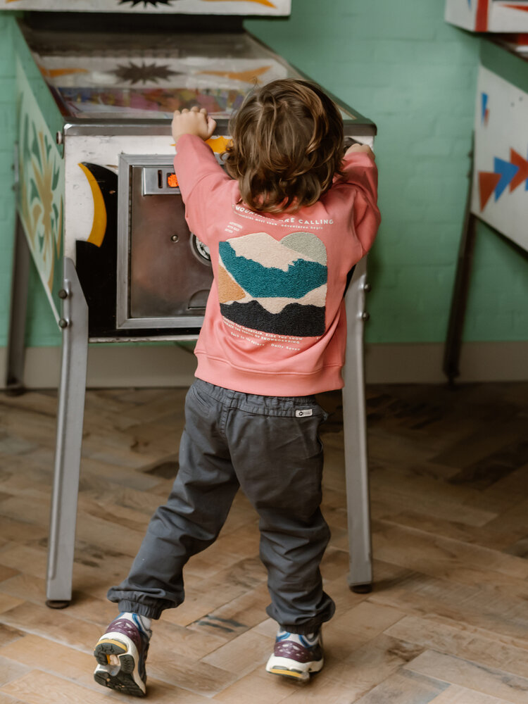 Daily7 Daily7 | Broek Canvas thunderstorm