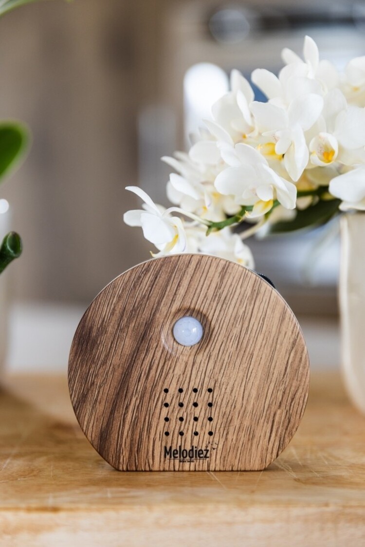 Melodiez Melodiez | Soundbox met natuurgeluiden donker hout