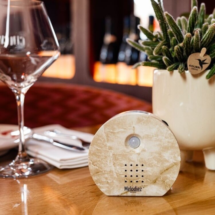 Melodiez Melodiez | Soundbox met natuurgeluiden natuursteen