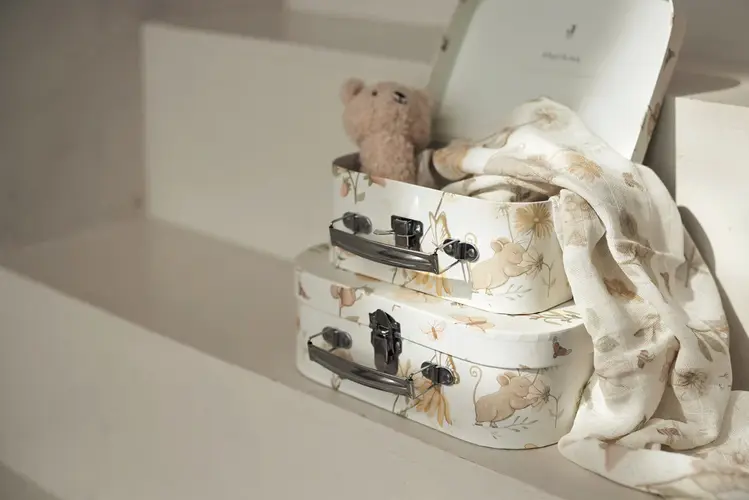 Jollein Jollein | Speelkoffertje dreamy mouse set2