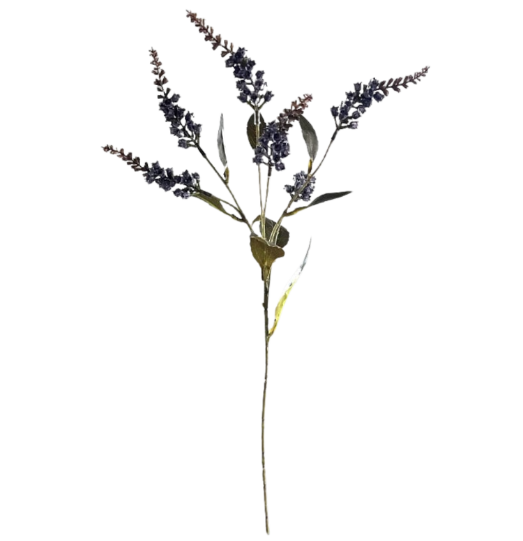 Selected by Selected by | Pieris blue 50cm