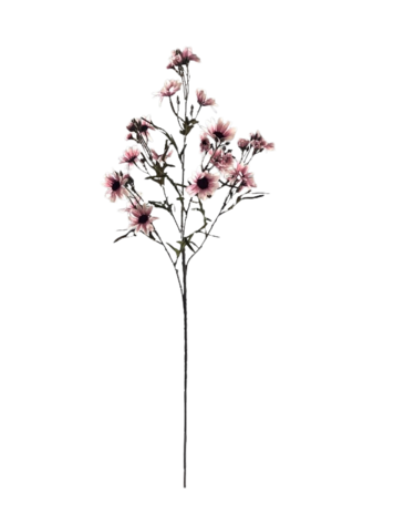 Selected by Selected by | Chrysanthemum ant. pink 90cm