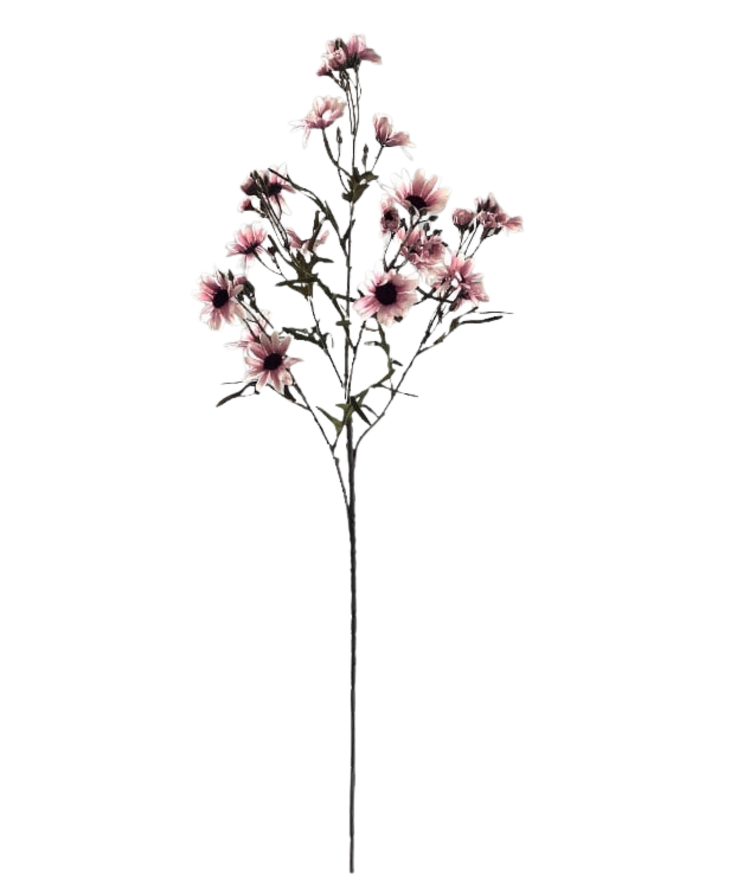 Selected by Selected by | Chrysanthemum ant. pink 90cm