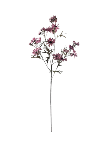 Selected by Selected by | Chrysanthemum purple 90cm