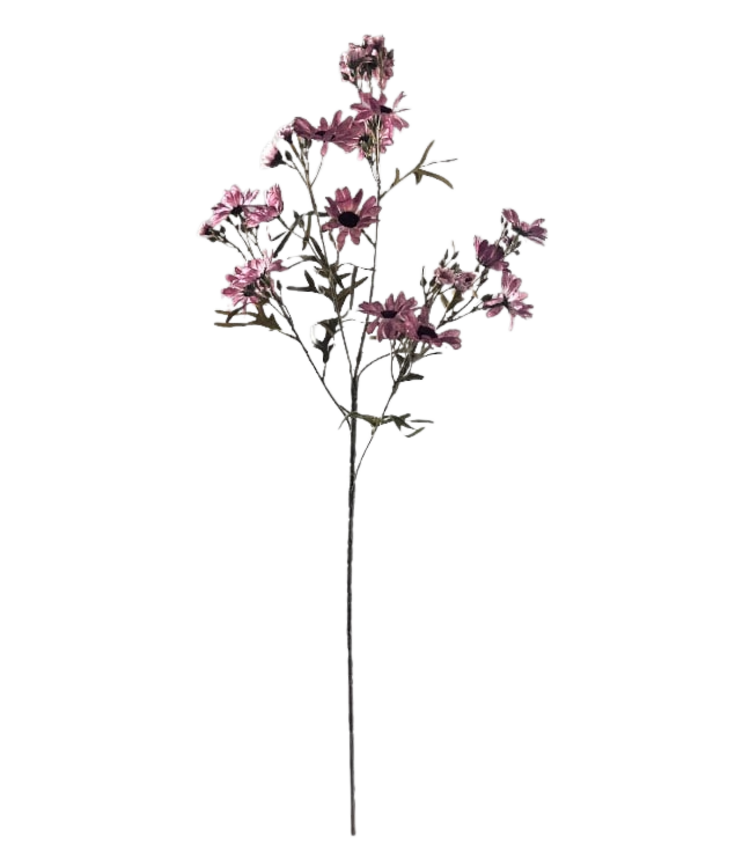 Selected by Selected by | Chrysanthemum purple 90cm