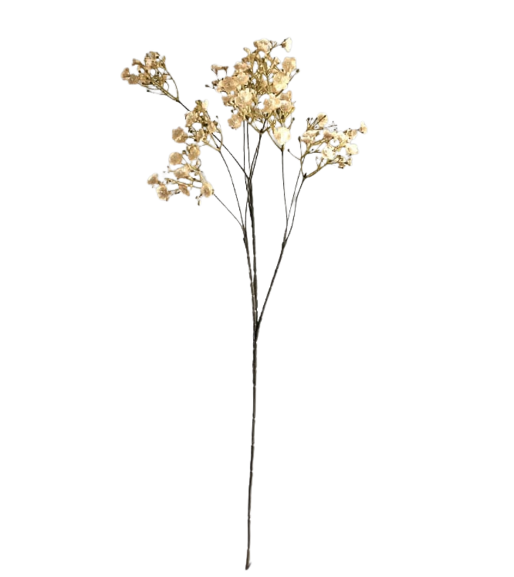 Selected by Selected by | Gypsophila off white 70cm