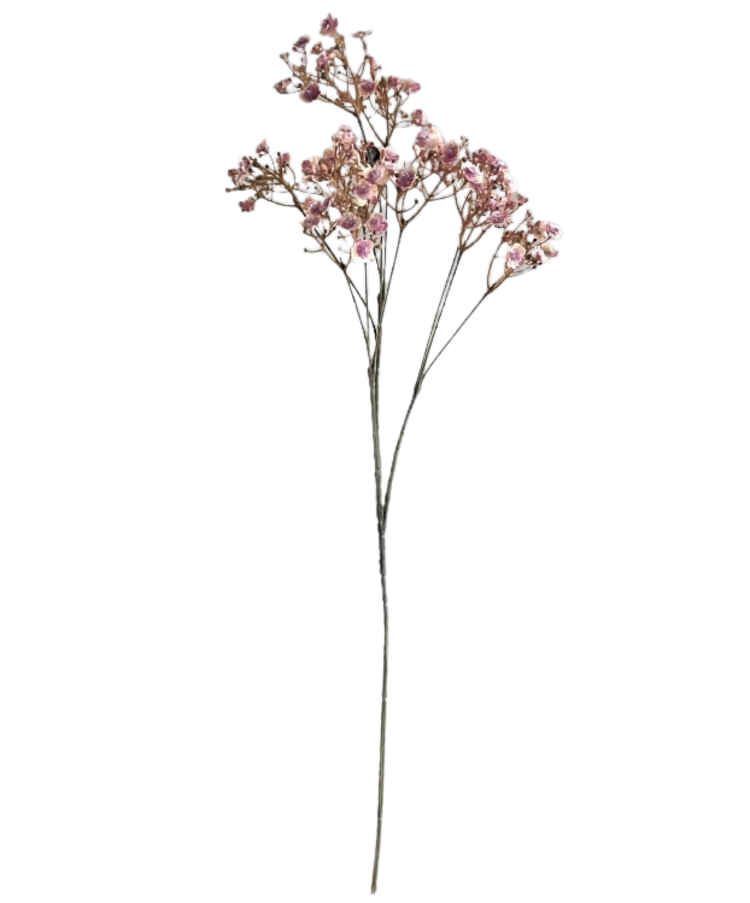 Selected by Selected by | Gypsophila ant. pink 70cm