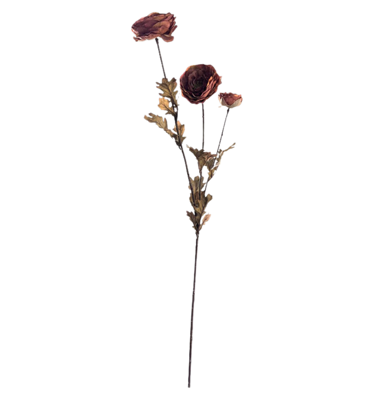 Selected by Selected by | Ranunculus grande brown 90cm