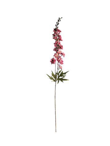 Selected by Selected by | Delphinium pink 90cm