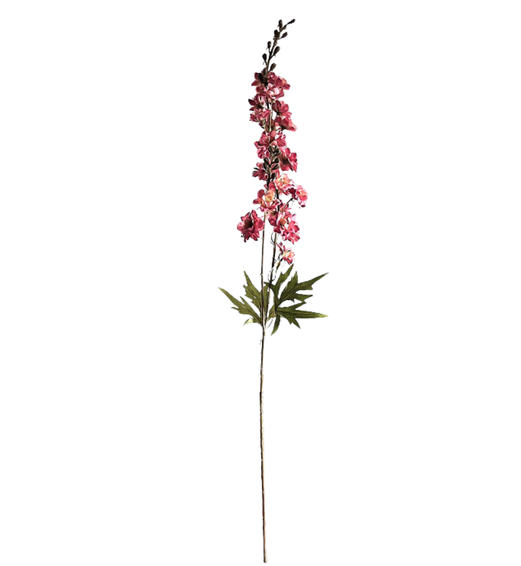 Selected by Selected by | Delphinium pink 90cm