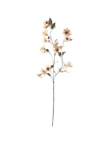 Selected by Selected by | Cornus grande de luxe off white 100cm