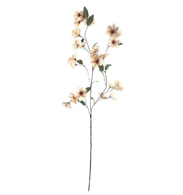 Selected by Selected by | Cornus grande de luxe off white 100cm