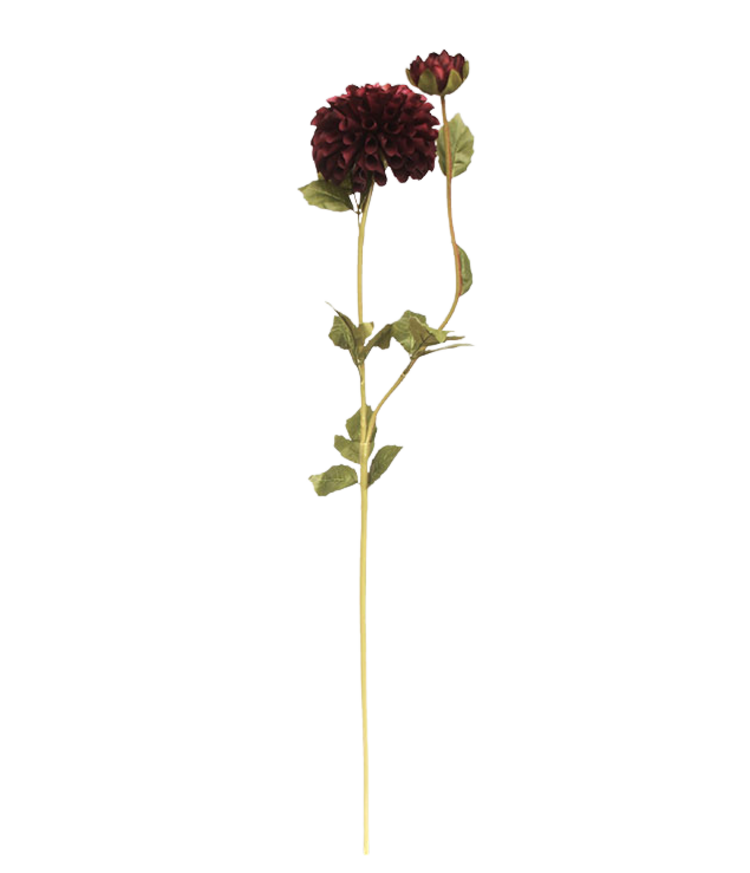 Selected by Selected by | Dahlia claret 80cm