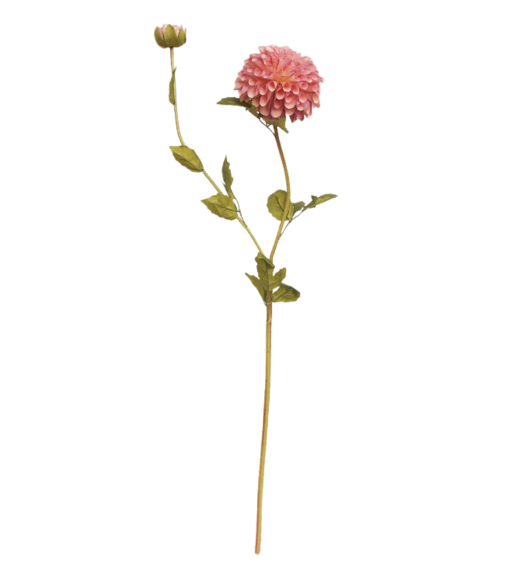 Selected by Selected by | Dahlia fading purple 80cm