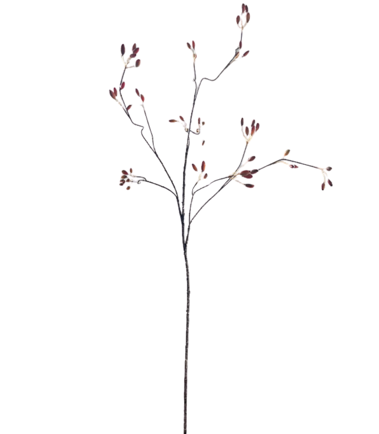 Selected by Selected by | Rose bush orange 125cm