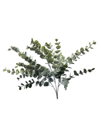 Selected by Selected by | Eucalyptus grande green 50cm