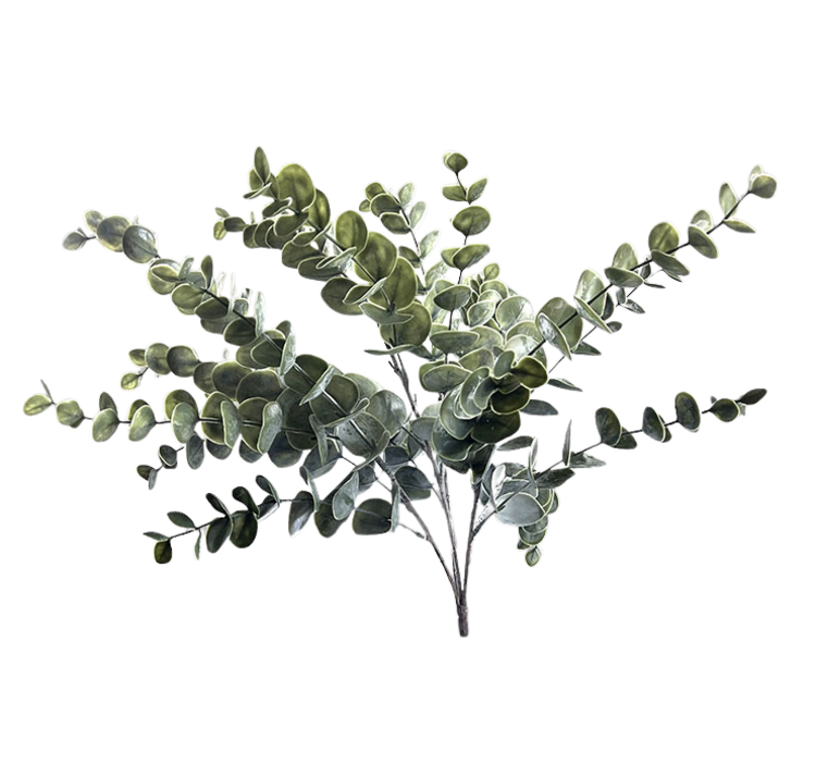 Selected by Selected by | Eucalyptus grande green 50cm