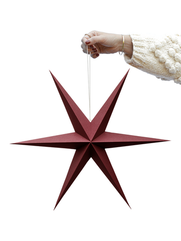 Delight Department Delight Department | Kerst ster rood set van 2