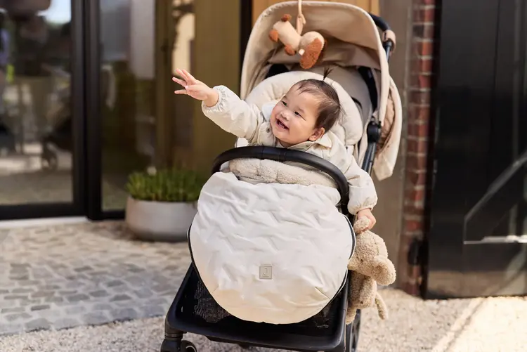 Jollein Jollein | Wagenhanger Diego hond