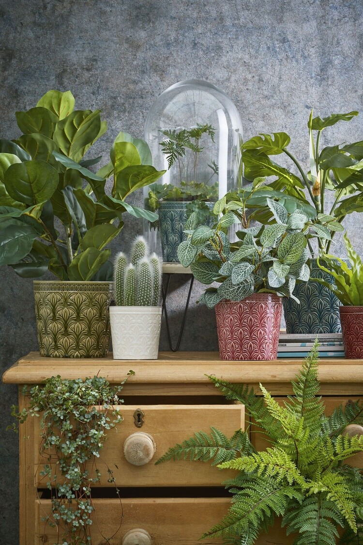 Selected by Selected by | Ficus Lyrata in pot 45cm