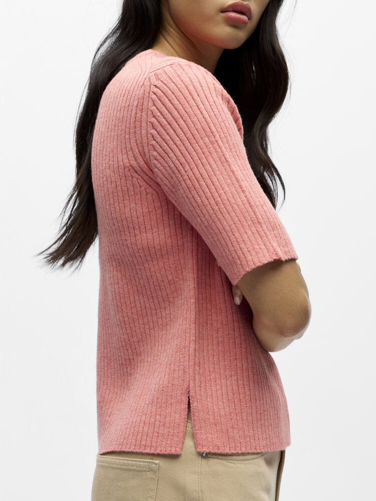 Object Object | Top Elva lantana NOOS