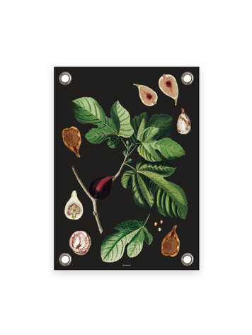 Villa Madelief VM | Tuinposter Botanische vijg