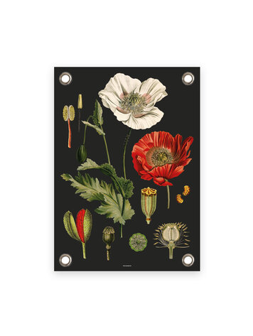 Villa Madelief VM | Tuinposter Klaprozen