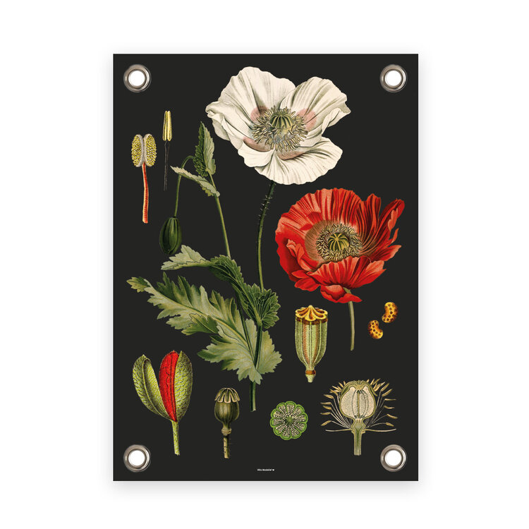 Villa Madelief VM | Tuinposter Klaprozen