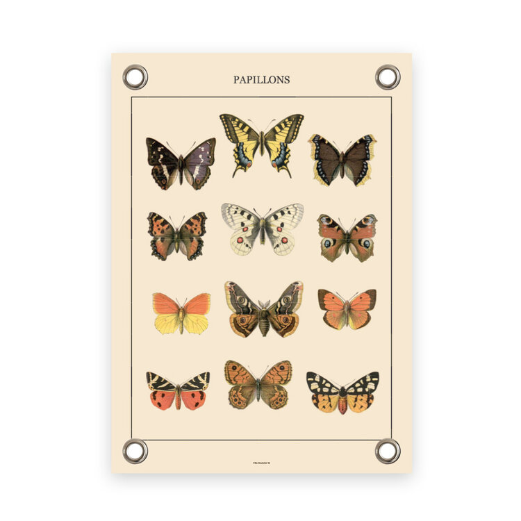 Villa Madelief VM | Tuinposter vlinders