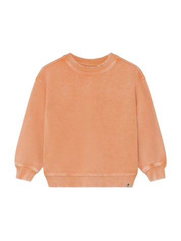 Daily7 Daily7 | Sweater Oversized backprint sandstone