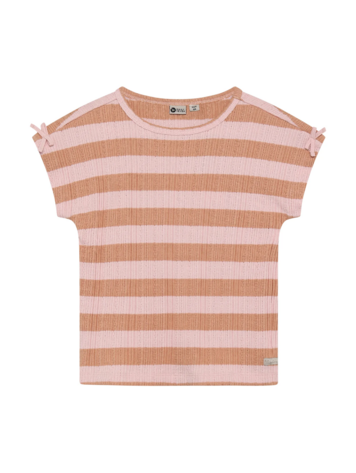 Daily7 Daily7 | T-shirt Fancy stripe silver pink