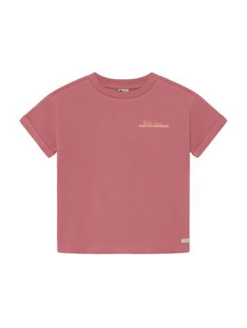 Daily7 Daily7 | T-shirt backprint heather rose