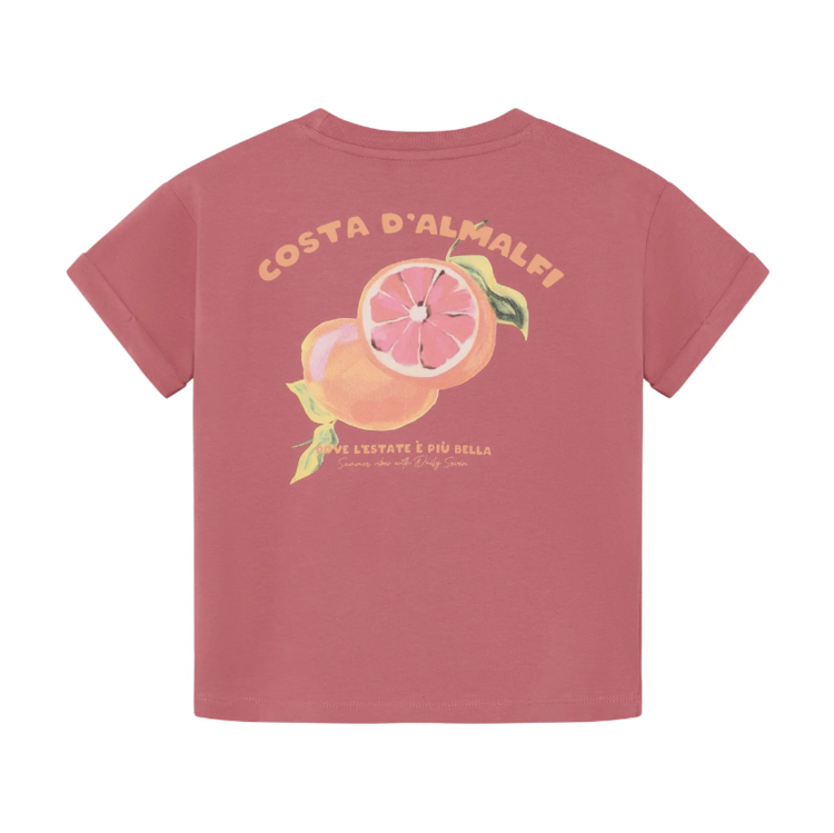 Daily7 Daily7 | T-shirt backprint heather rose