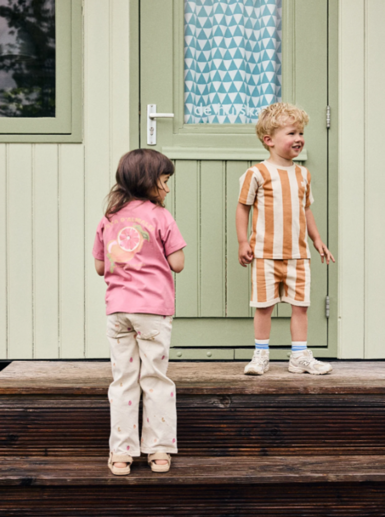 Daily7 Daily7 | T-shirt backprint heather rose