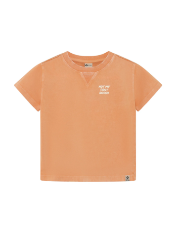 Daily7 Daily7 | T-shirt backprint sandstone